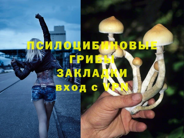 бошки Алексин