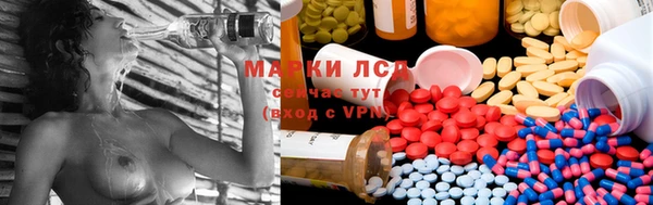 бошки Алексин